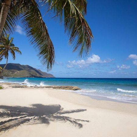 Carambola Beach Resort St. Croix, Us Virgin Islands Fountain Bagian luar foto