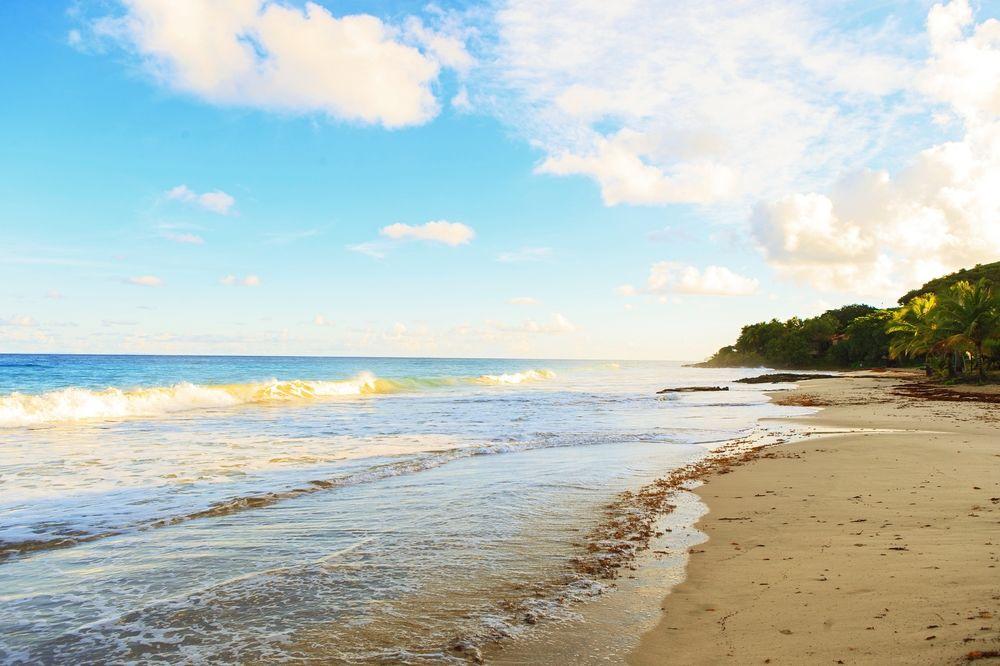 Carambola Beach Resort St. Croix, Us Virgin Islands Fountain Bagian luar foto
